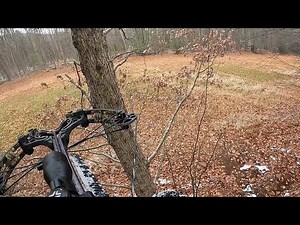 PA Archery Hunting Whitetail Deer | 2025 PA Archery Season |