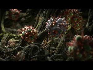 How it Works: Concrobium Mold Control (CA)