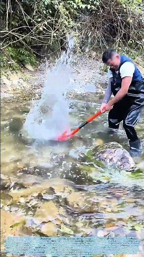 Percussion Fishing: How Sound Waves Stun Hidden Prey