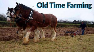 In this five minute video we show the ground being prepared by both a pair of horse and vintage tractors... To watch more of our videos for free just Google Videos of Irish Farming Life | Videos of Irish Farming Life