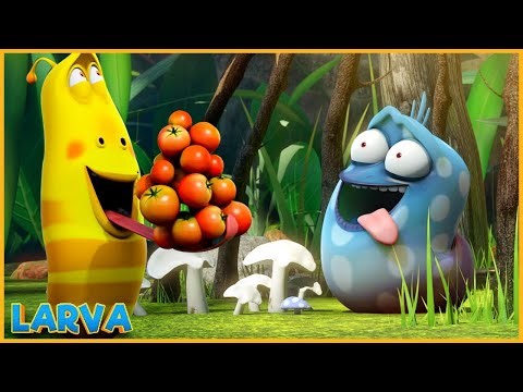 Larvas Animadas Nuevos Episodios 2023 - LARVAS Y TOMATES VENENOSOS - LARVA en Español 2023