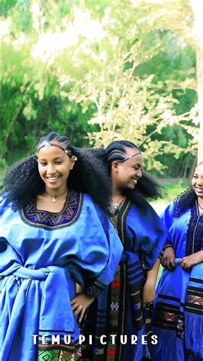 sosi sosna on TikTok