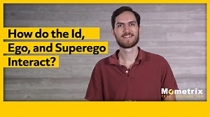 How do the Id, Ego, and Superego Interact? (Video)
