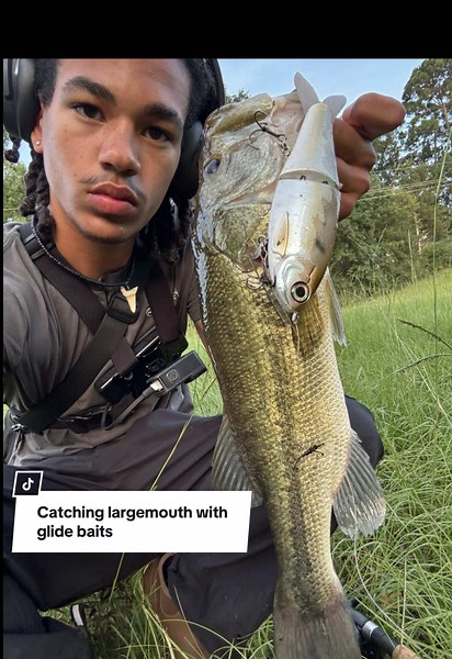 Catching Largemouth Bass with Glide Baits
