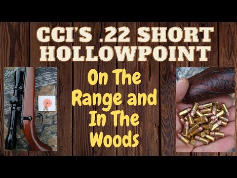 The CCI .22 Short HP On The Range And In The Woods