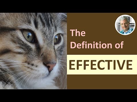 What is the Definition of EFFECTIVE? (3 Examples)