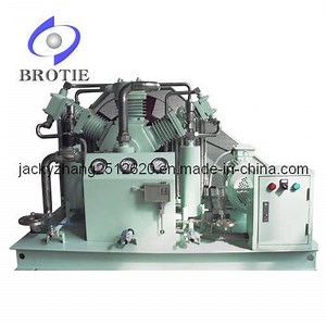 [Hot Item] Brotie Totally Oil-Free Carbon Dioxide CO2 Compressor