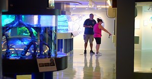 IT'S BACK: Sanibel's Bailey-Matthews National Shell Museum reopens