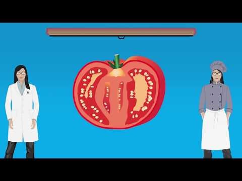 DEMYSTIFIED: Are tomatoes a fruit or a vegetable? | Encyclopaedia Britannica
