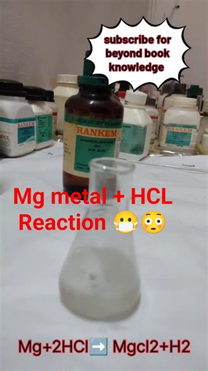 Magnesium Ribbon and HCL Reaction#shorts #ytshorts #experiment #science #chemistry #school