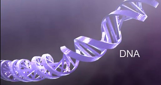 DNA and RNA Basics: Replication, Transcription, and Translation