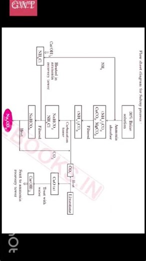 s block elements #shorts #chemistry #class11 #neet #iitjee #rpsc1stgrade #ncert #cbse #question