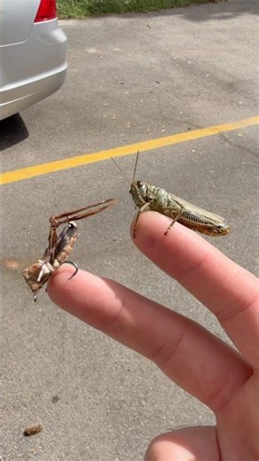 Foam Hopper (part 1)