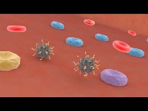Animation: how can a drug be shuttled to the brain?