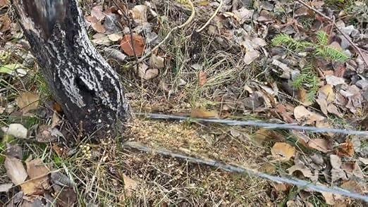 0265880db55046e79999aa519147f401