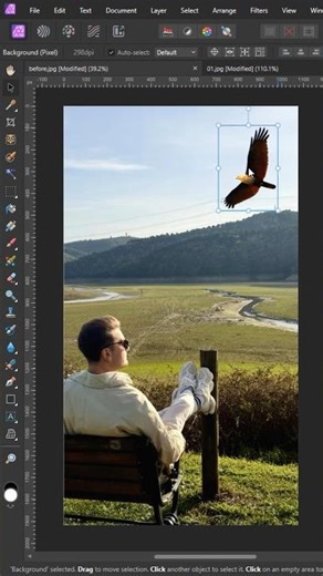 Flying Eagle Nature Edit #nature #viral #tutorial