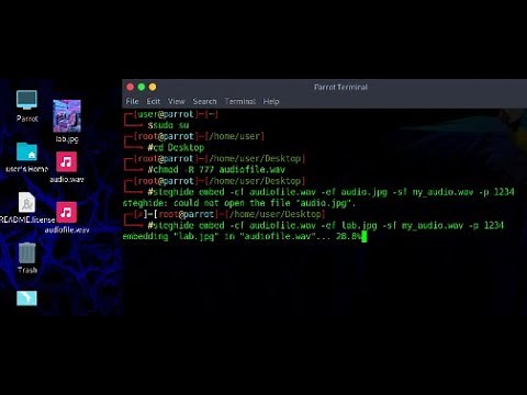 Hiding data in an Audio: Audio Steganography using Steghide