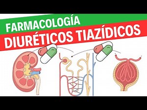 Farmacología de los diuréticos tiazídicos
