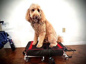 NOW IN STOCK – Vulcan Lightweight Portable Lift – Quick N Mobile – 888-701-8799