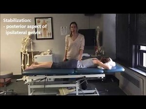 MMT - Knee Flexion