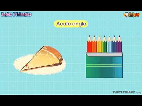 4 Types of Angles *WHAT'S THE DIFFERENCE?* Math for Kids