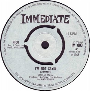 Nico - I'm Not Sayin / The Last Mile