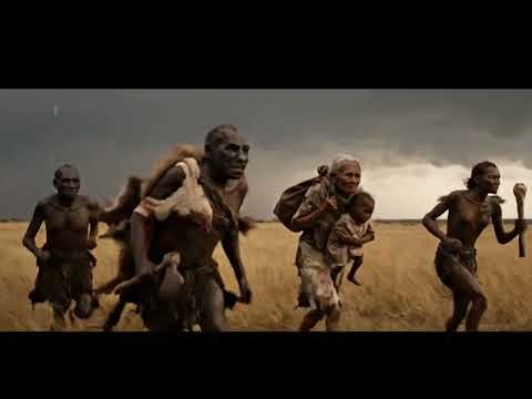 Life 7.3 Million Years Ago | The Dawn of Humanity