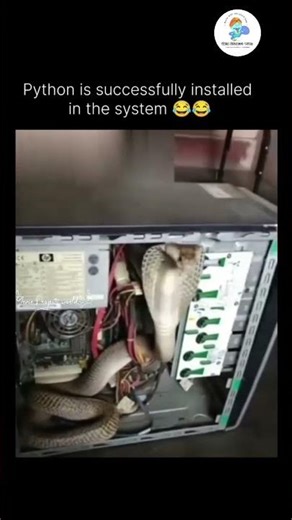 Everyone says Python is installed in my system… but bro, not like THIS! 🤯🐍