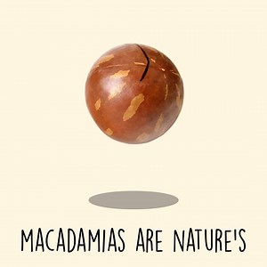 17K views · 110 reactions | Native to Australia, macadamias are nature's little energy balls | Australian Macadamias | Facebook