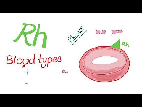 ABO Blood Antigens and Rh (D Antigen) 🩸 | Biology 🧪