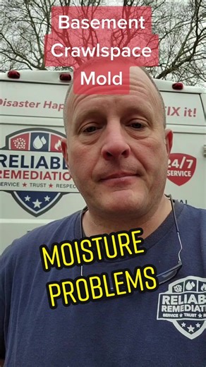Basement Mold Remediation: Moisture Problems and Prevention Tips