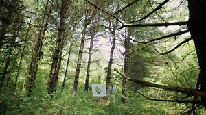 1.8K views · 237 reactions | Because our state forests do so much for us, Michigan’s DNR practices sustainable forestry to keep them thriving. Learn more. | Michigan Department of Natural Resources | Facebook