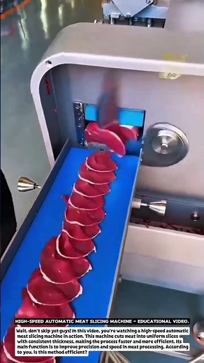 High-Speed Automatic Meat Slicing Machine – Educational Video.
