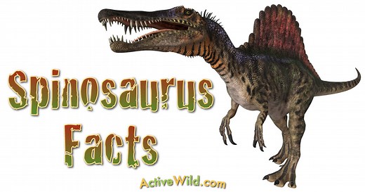 Spinosaurus Facts for Kids & Students - Information & Pictures