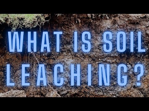 Soil Science: What Is Soil Leaching?