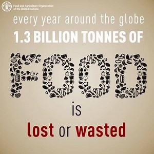 51K views · 1K reactions | Did you know? 45% of all the fruits and vegetables produced are wasted! In a world where almost 800 million people are hungry, this is an excess and represents a waste of the labour, water, energy, land and other inputs that went into producing that food. Make #NotWasting a way of life! | Food and Agriculture Organization of the United Nations (FAO) | Facebook