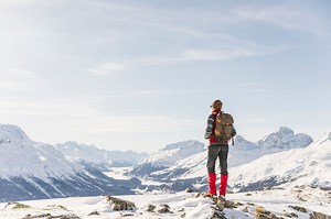 IBM Db2 Query Management Facility