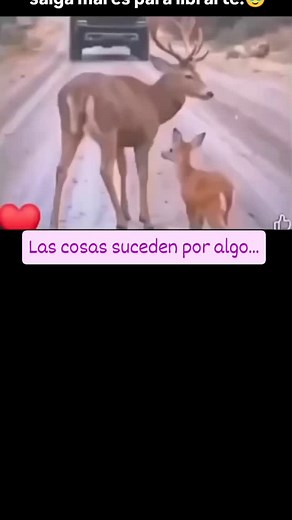 Por algo sucede en las cosas. #impase #molestia | Pediatra Aldo Claros