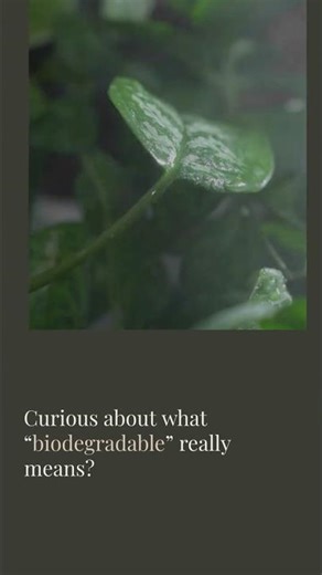 The Truth About "Biodegradable" Materials ♻️