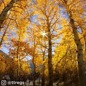 100K views · 4.9K reactions | IT'S OFFICIAL: Happy first day of fall!  | ABC7 | Facebook