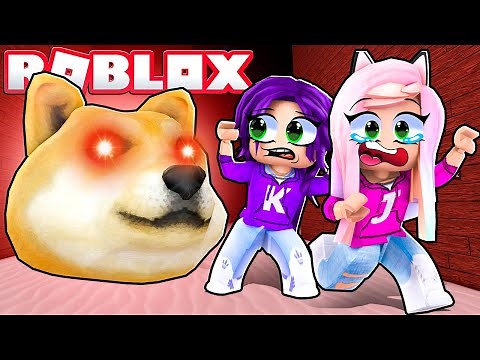 Doge Head Escape! | Roblox