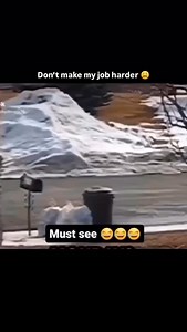 69 reactions · 22 shares | The trash man has finally popped off. #garbageman #garbagetruck #trashtruck #dumptrucks #servicework | Carl Stanton Jr. | Facebook