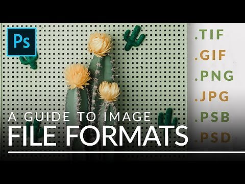 File Formats in Photoshop EXPLAINED (TIFF, GIF, PSB, & More)