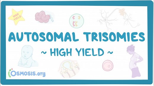 Autosomal trisomies: Pathology review: Video, Causes, & Meaning | Osmosis