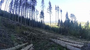 Multi-Tasking Machine Excelling in Forest Harvesting