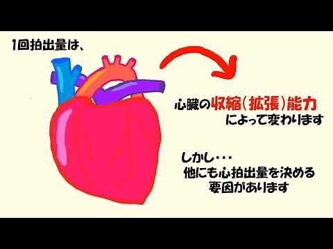 C3前負荷と後負荷 改訂2版（音声あり）