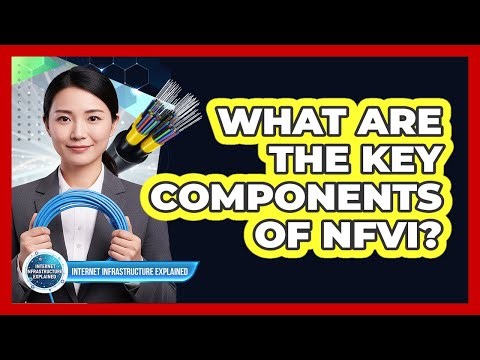 What Are The Key Components Of NFVI?