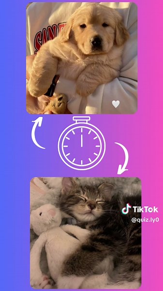 How Well Do You Know Your Partner? Couple Quiz Challenge