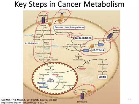 Metabolic re-programming in cancer