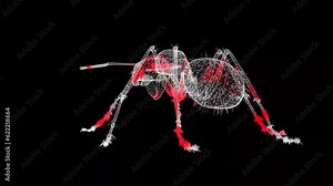 3D Insect rotates on black bg. Pest control, insect extermination. Insect Killing Services. For title, text, presentation. 3d animation 60 FPS